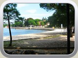 umag4