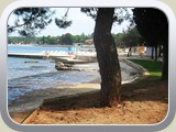 umag7